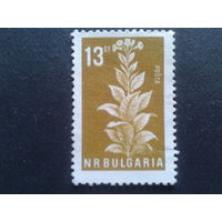 Болгария 1965 табак