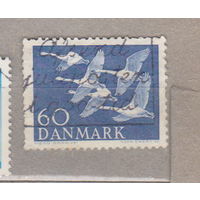 Птицы Фауна Дания 1956 год лот 1072 ГУСИ