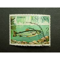 Испания 1977. Пресноводная рыба