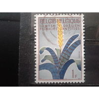 Бельгия 1965 Цветок