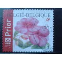 Бельгия 2004 Стандарт, цветы