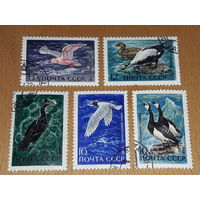 СССР 1972 Фауна Водоплавающие птицы Полная серия 5 марок