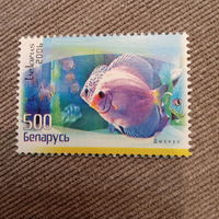 Беларусь 2006. Аквариумные рыбы. Дискус