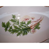 Сервировочная овальная тарелка рижский фарфор 27см