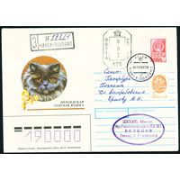 СССР 1990-1991 гг Художественный маркированный конверт ХМК с провизориями Персидская голубая кошка