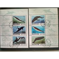 КНДР. 1992. Киты и дельфины. 2 малых листа