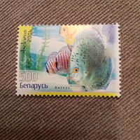 Беларусь 2006. Аквариумные рыбы. Дискус