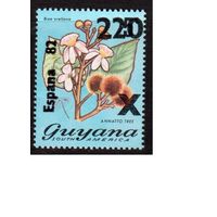 Гайана-1981 (Мих.680) **  , Спорт, ЧМ-1982 по футболу, цветы