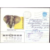 1990 год ХМК А.Исаков Слон 90-210 3