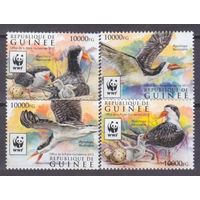 2015 Гвинея 11528-11531 WWF / Птицы 12,00 евро