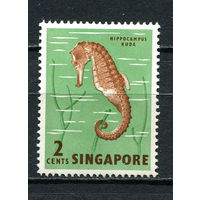 Сингапур - 1962/1967 - Морской конек 2C - [Mi.54] - 1 марка. MNH.  (Лот 72EZ)-T25P7