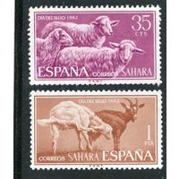 Испанская Сахара. Домашние животные