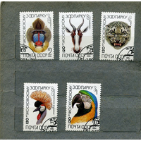 СССР, 1984, 125 лет московскому зоопарку серия 5м, 1984