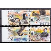 2015 Гвинея 11528-11531Paar WWF / Птицы 12,00 евро