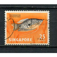 Сингапур - 1962/1967 - Рыбка 25C - [Mi.63X] - 1 марка. Гашеная.  (Лот 80EZ)-T25P7