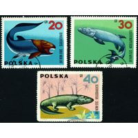 Ископаемые животные Польша 1966 год 3 марки