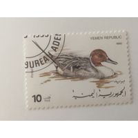 Йемен 1990. Птицы