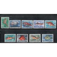 Югославия-1956(Мих.795-803) гаш.  , Морская фауна, Рыбы (полная серия)