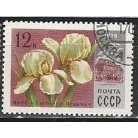Марки СССр 1978. 1 марка из серии. 4830. Цветы Москвы.