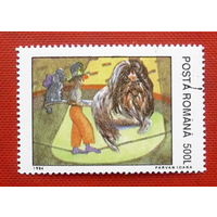 Румыния. Цирк. ( 1 марка ) 1994 года.