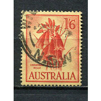 Австралия - 1959/1965 - Колокольчики 1,6Sh p - [Mi.298] - 1 марка. Гашеная.  (Лот 11FA)-T25P8