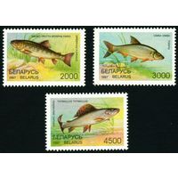 Редкие виды рыб водоемов Беларусь 1997 год (228-230) 3 марки