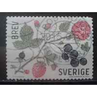 Швеция 2014 Ягоды Михель-1,8 евро гаш