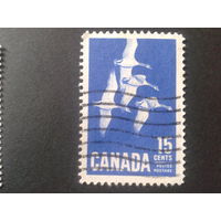 Канада 1963 утки