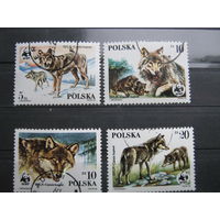 Марки - фауна, Польша, волки