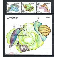 Сомали 2003 Фауна УЛИТКИ Моллюски РАКУШКИ MNH