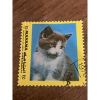 ОАЭ 1972. Манама. Домашние кошки. Марка из серии