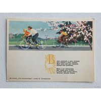 Красицкая велосипедисты 1964