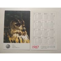 Карманный календарик. Птица Филин. 1987 год