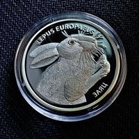 Заяц 20 рублей, 2014, серебро