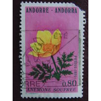 Андорра 1975 г. Цветы.