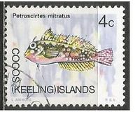 Кокосовые острова. Рыба-собачка. 1969г. Mi#11.
