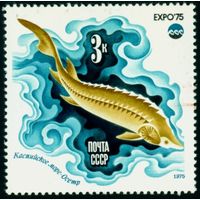Всемирная выставка "Экспо-75" СССР 1975 год 1 марка