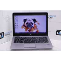 12.5" HP EliteBook 725 G2 AMD A10-7350B (8Gb, 256Gb SSD). Гарантия