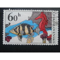 Чехословакия 1975 морской конек и рыбка