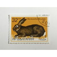 Болгария 1986. Кролики.