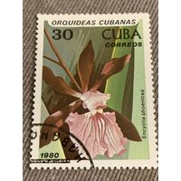 Куба 1980. Encyclica phoenicea. Марка из серии