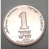 Израиль 1 новый шекель, 1994 (-6-16(в))