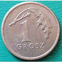 Польша 1 грош 2013