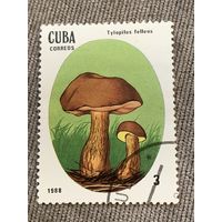 Куба 1988. Грибы. Tylopilus felleus. Марка из серии