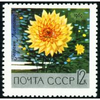 Цветы ботанического сада СССР 1969 год 1 марка