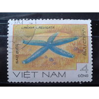 Вьетнам 1985 Морская звезда