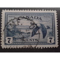 Канада 1946 утка