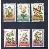Цветы на марках Румынии
