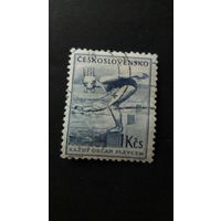 ЧССР 1954 пловчиха