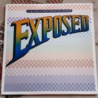 VARIOUS ARTISTS - 1981 - EXPOSED:A CHEAP PEEK AT TODAY'S PROVOCATIVE NEW ROCK (USA) 2LP